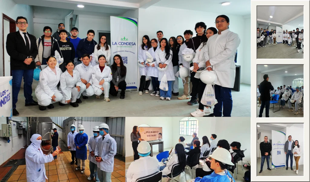 Paneles solares y áreas verdes representando energía limpia en La Condesa.